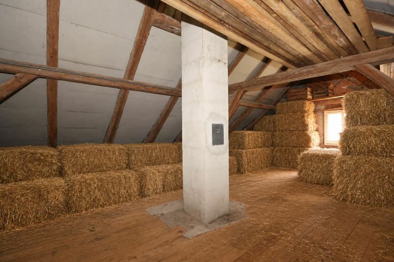 Zweifamilienhaus mit Stall und Landwirtschaftsland in Wettingen (9)