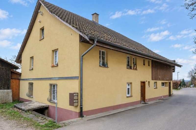 Zweifamilienhaus mit Stall und Landwirtschaftsland in Wettingen (1)