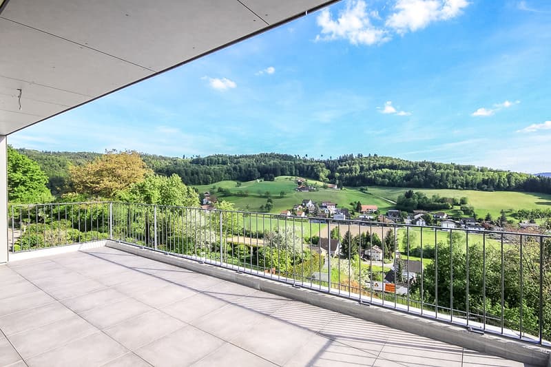 traumhafte 4.5 Zimmer Wohnung mit herrlicher Weitsicht und vielen Parkplätzen (10)
