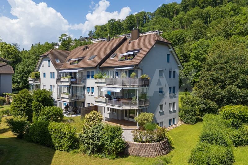 Moderne 4.5-Zi.-Gartenwohnung mit grossem Garten, sep. Hobbyraum und 2 TG-PP in Niedergösgen (1)
