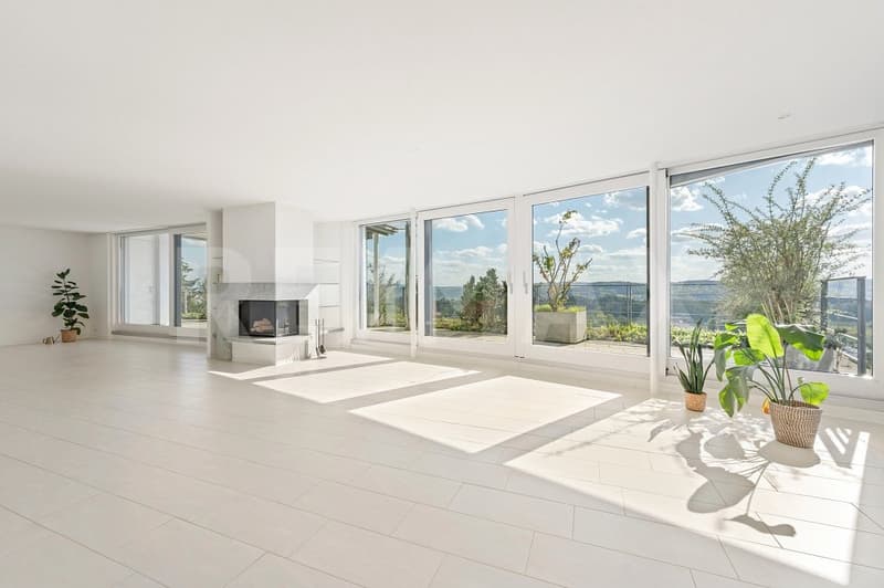 Above Blue Niederrohrdorf  - 4.5-Zi.-Attika-Terrassenwohnung mit 180 Panorama & 200 m² Wohnfläche (2)