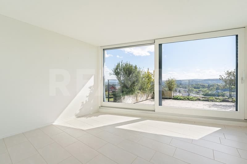 Above Blue Niederrohrdorf  - 4.5-Zi.-Attika-Terrassenwohnung mit 180 Panorama & 200 m² Wohnfläche (6)