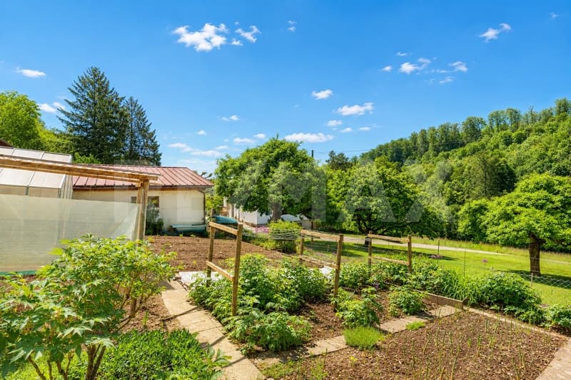 5'933 m² Naturverbunden, autark, frei & ungestört  Ihr persönliches Paradies in Bad Zurzach (5)