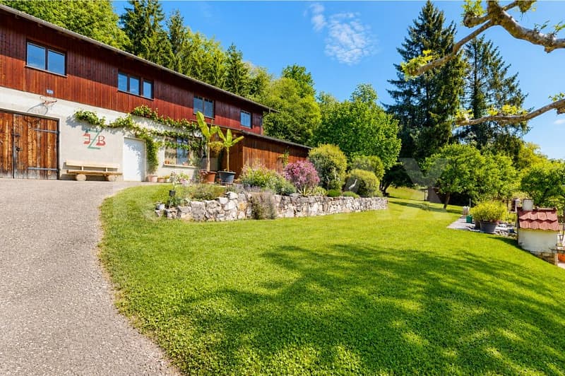 5'933 m² Naturverbunden, autark, frei & ungestört  Ihr persönliches Paradies in Bad Zurzach (6)