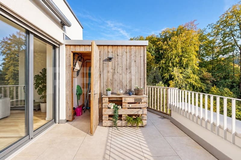 Wohnen mit Weitblick Exklusiver 5.5+-Zi-Wohntraum mit Sonnenterrasse und besonderem Extra! (4)