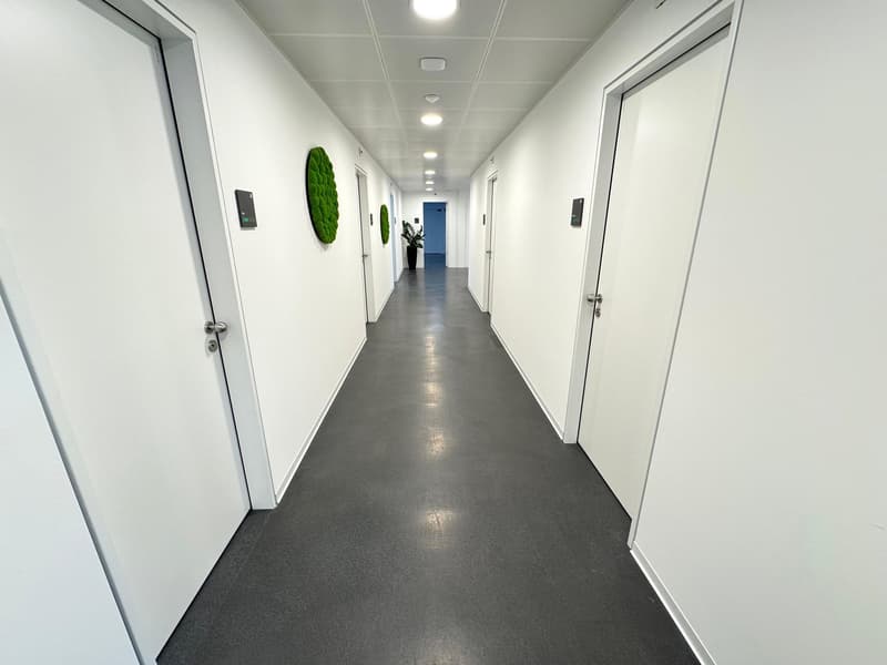 DAMMPARK: Spazio esclusivo per ufficio o studio vicino alla stazione di Frick (5)