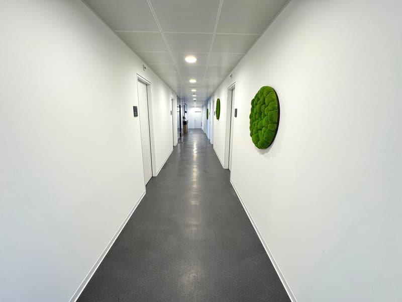 The image shows a long, narrow hallway with white walls, a gray concrete floor, and recessed lighting in the ceiling. There are several doors lining the hallway, and a large, circular green moss installation is mounted on the wall.