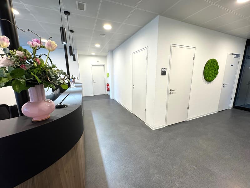 The image shows a modern office space with a clean and minimalist design. The hallway has white walls, a gray concrete floor, and recessed lighting. There are two white doors leading to other rooms. A vase with pink flowers and a decorative green object a