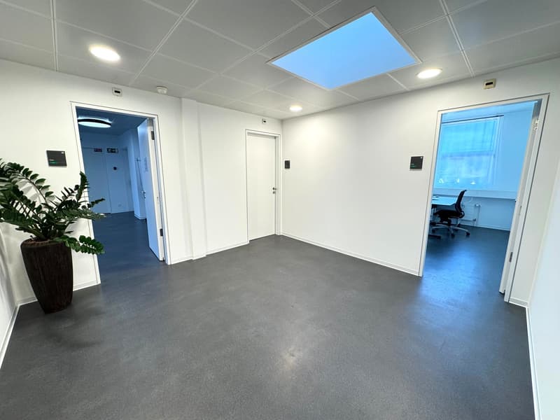 The image shows a modern, well-lit office space with white walls, a gray concrete floor, and a skylight in the ceiling. The room has two doorways leading to other areas, and a potted plant adds a touch of greenery. The space appears to be designed for pro