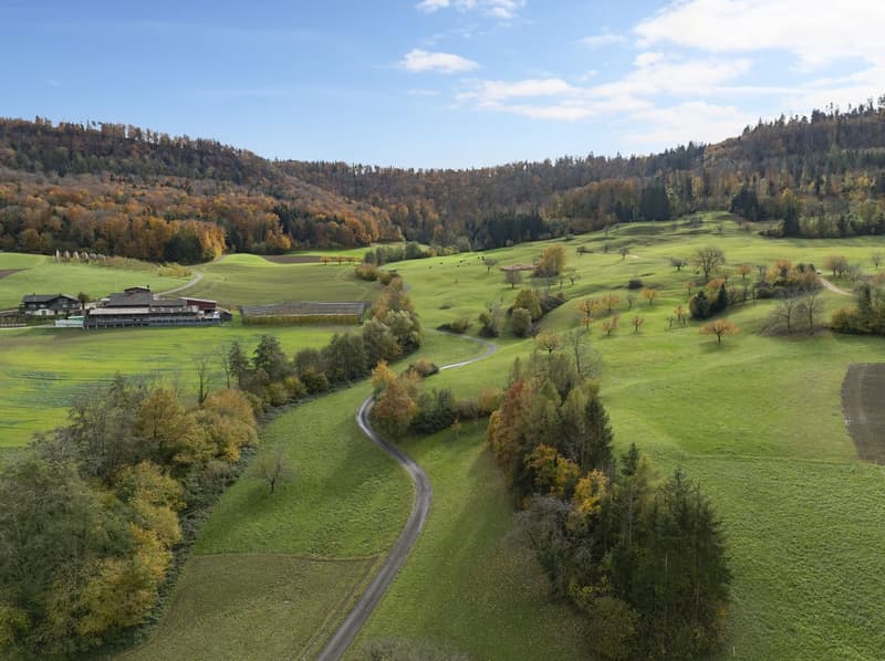 LIVING WITH A VIEW: New 4.5-room apartment in Wegenstetten (8)