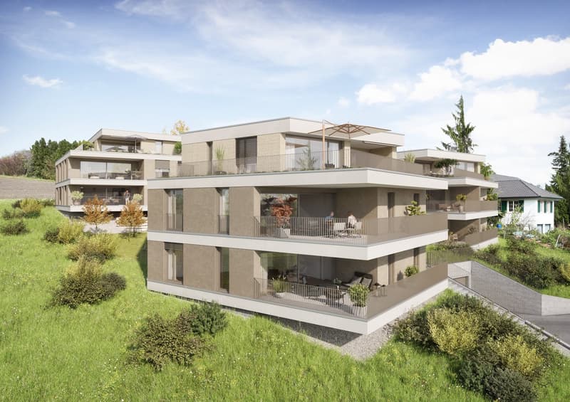 VIVRE AVEC UNE VUE PANORAMIQUE : Appartement neuf de 4,5 pièces à Wegenstetten (4)