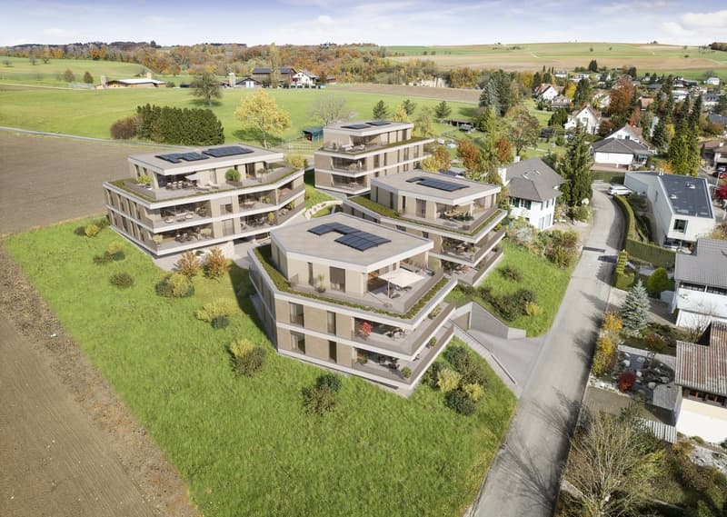 Multiple residential buildings, solar panels on roofs, landscaped gardens, wide open fields, surrounding trees, driveway