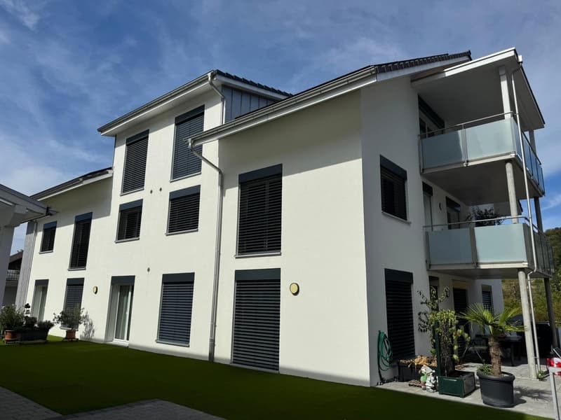 Grosszügige 3.5-Zimmer-Wohnung zu vermieten. (1)