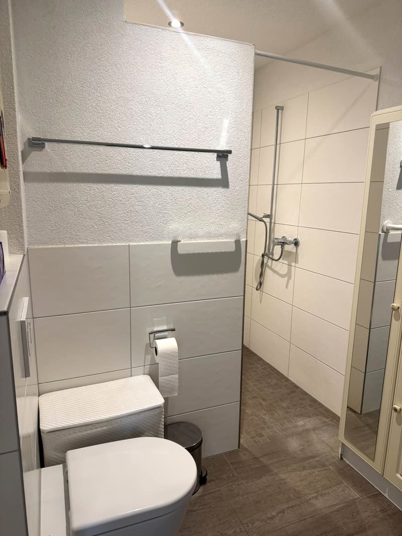 Grosszügige 3.5-Zimmer-Wohnung zu vermieten. (7)