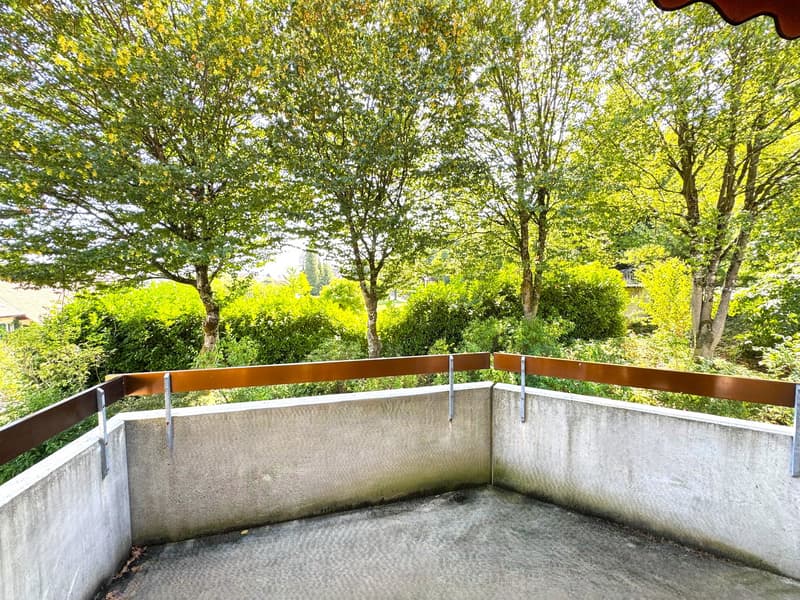 3.5-Zimmer-Wohnung mit Potential an zentraler Lage (16)