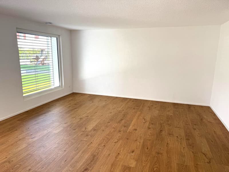 Grosszügige 3.5-Zimmer-Wohnung zu vermieten. (6)