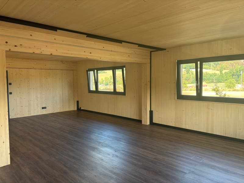 NEUBAU Gewerbeliegenschaft: Büroräume zu vermieten (4)