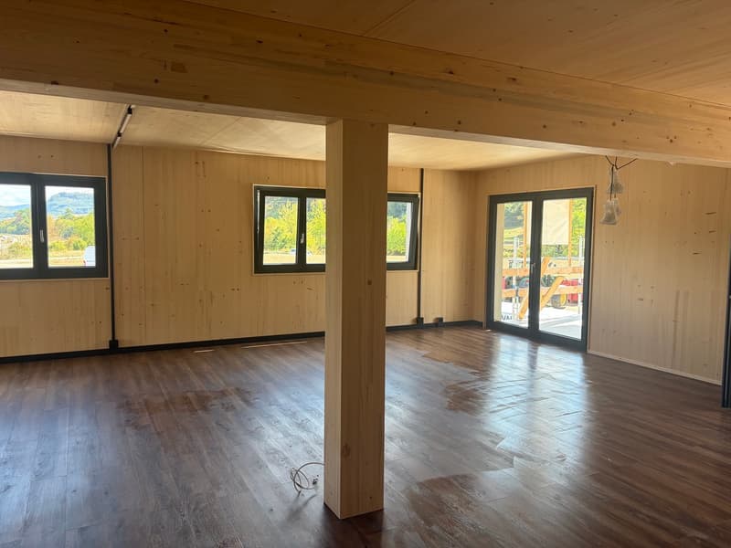 NEUBAU Gewerbeliegenschaft: Büroräume zu vermieten (8)