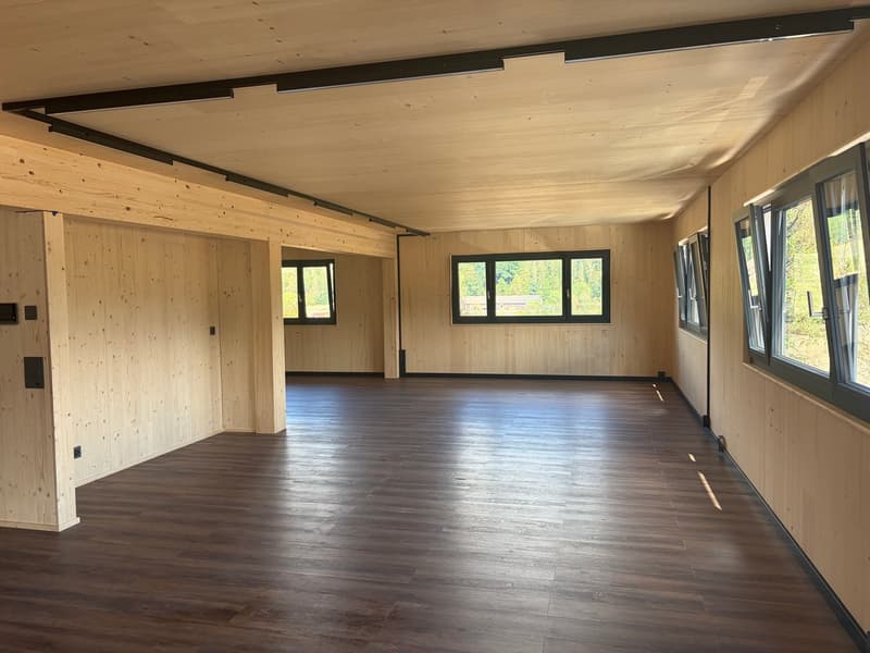 NEUBAU Gewerbeliegenschaft: Büroräume zu vermieten (3)