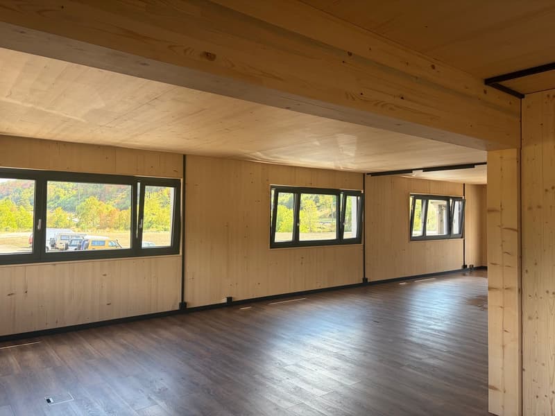 NEUBAU Gewerbeliegenschaft: Büroräume zu vermieten (5)