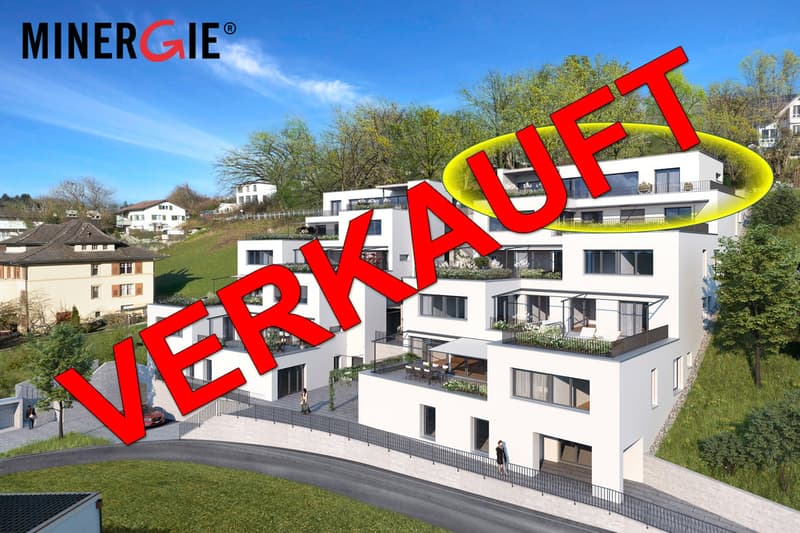 VERKAUFT - Neue exklusive Attika-Terrassen-Wohnung in Mellingen (1)