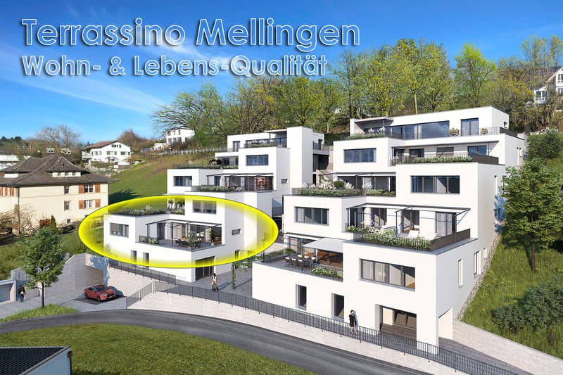 Neue, exklusive 5.5-Zimmer-Minergie-Terrassen-Eigentumswohnung (2)