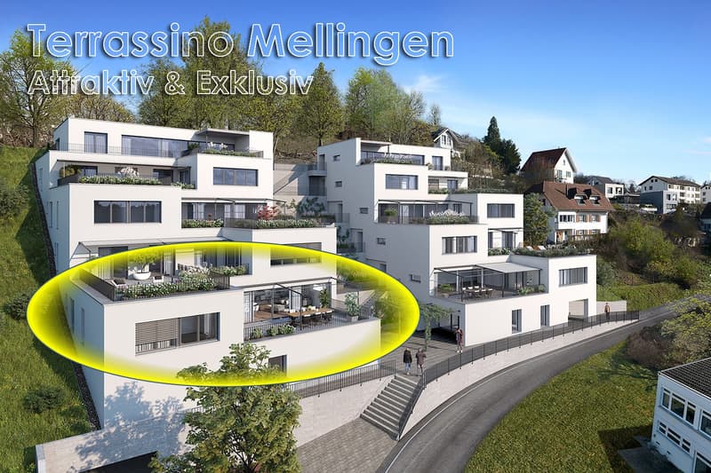 Neue, exklusive 1.5-Zimmer-Minergie-Terrassen-Eigentumswohnung (1)