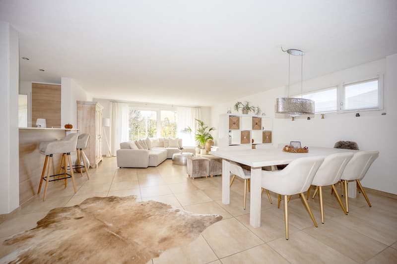 modern open-plan living room, white sofa, white dining table, beige rug, ceiling lamp
