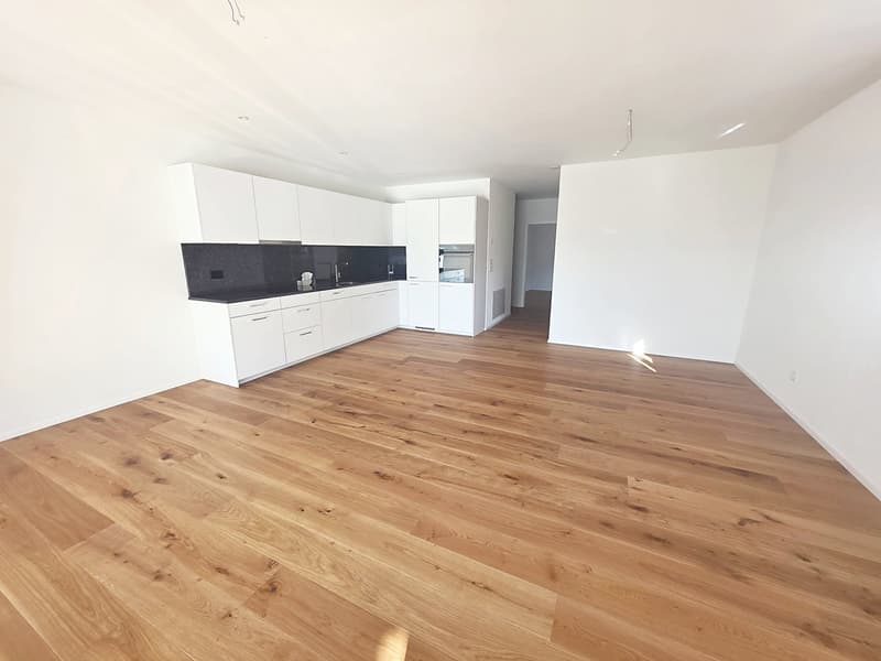 Verkauf Neubau in Eiken - wunderschöne helle Wohnung (1)
