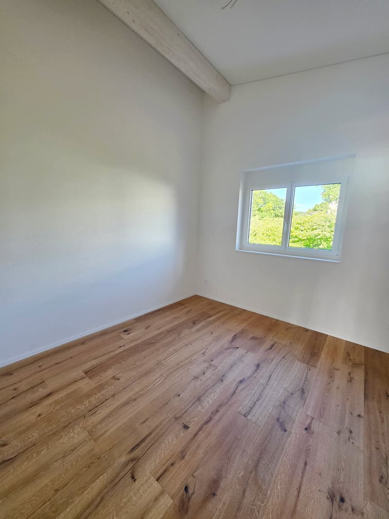 Wunderschöne, helle Dachwohnung - Neubau (8)