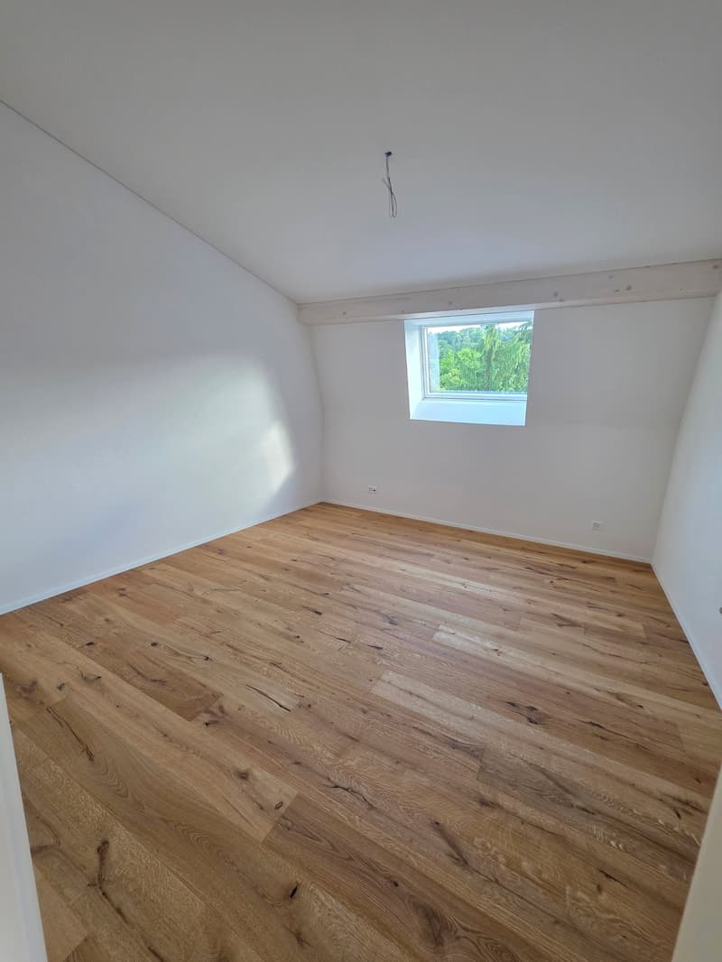 Wunderschöne, helle Dachwohnung - Neubau (6)