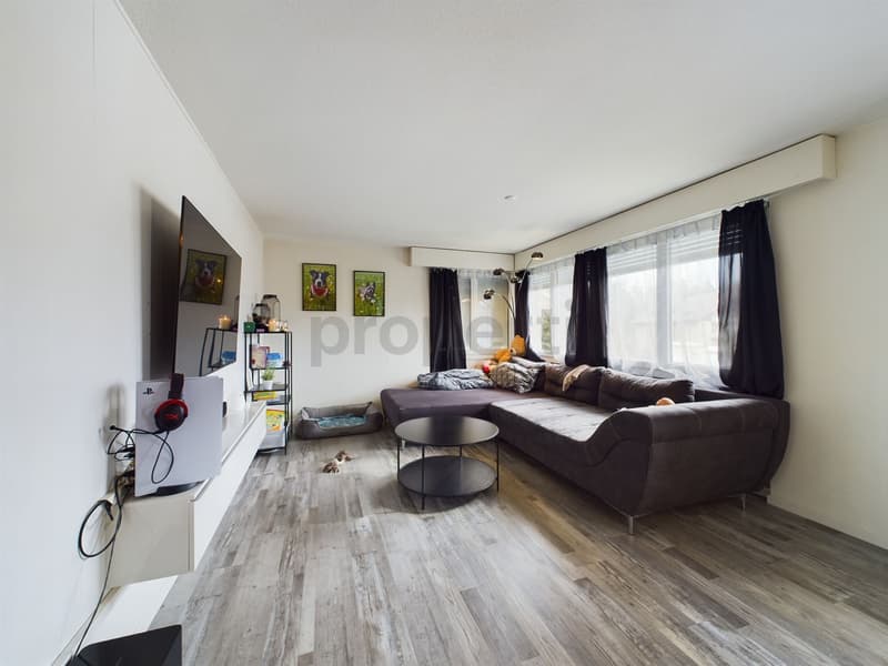 Renovierte 4.5 Zimmer Wohnung an ruhiger Lager