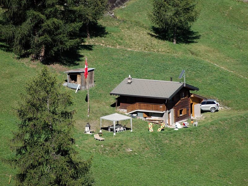 Image 6
