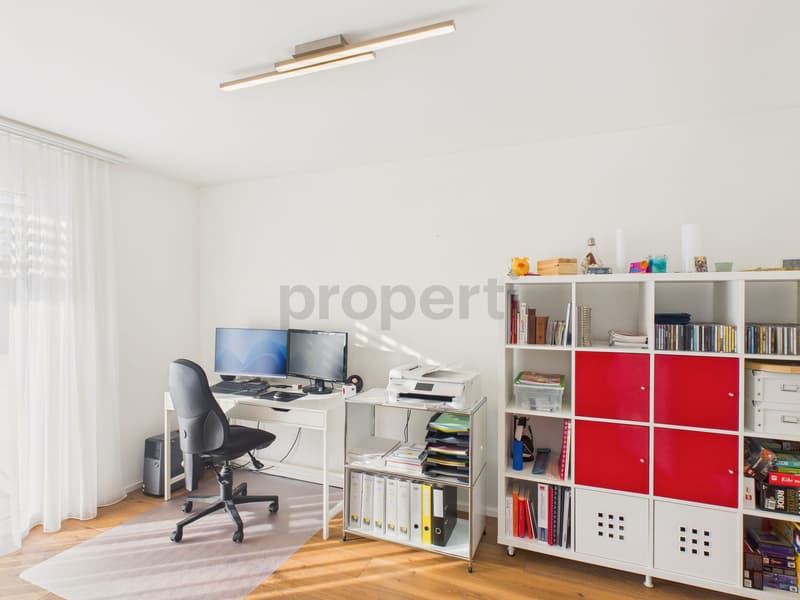 Image 7