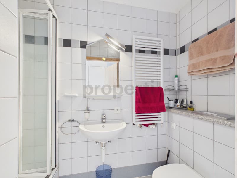Image 9
