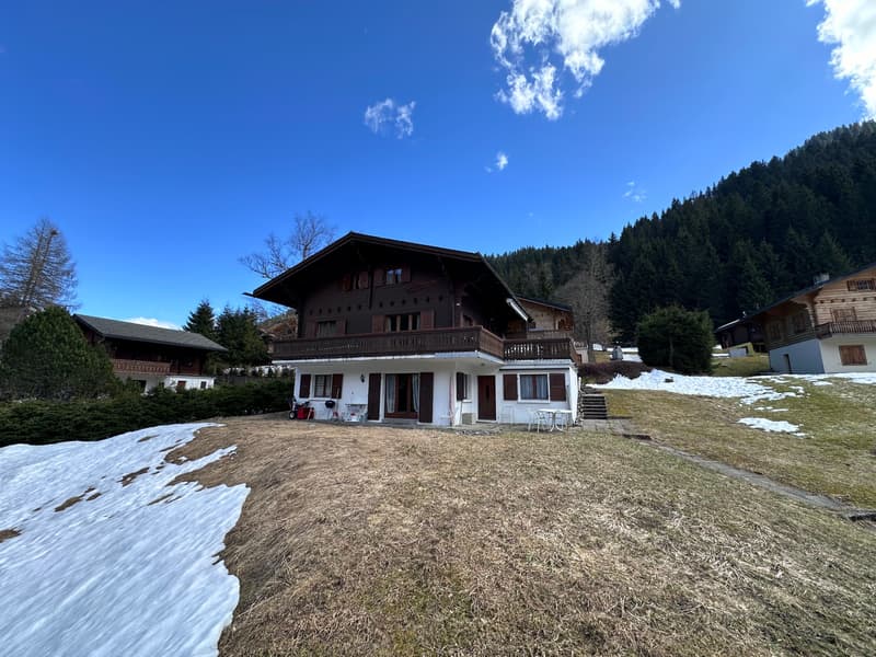 Image 11