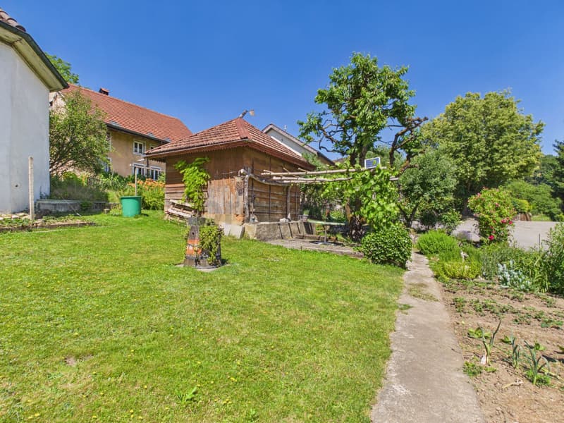 Image 9