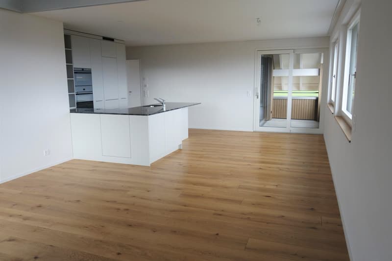Helle, grosszügige 5½ Zi Maisonette -Wohnung (DG3) (3)