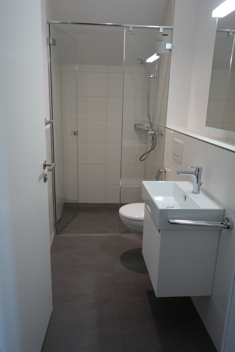 Helle, grosszügige 5½ Zi Maisonette -Wohnung (DG3) (8)
