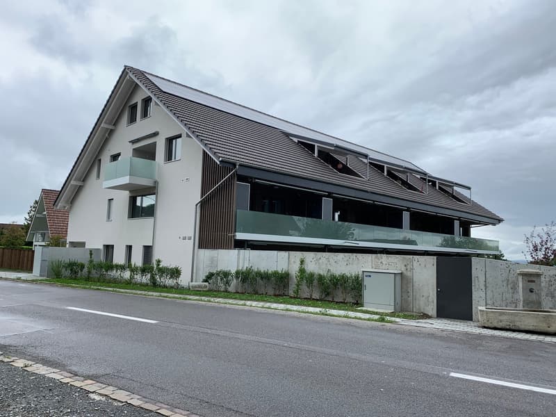 Helle, grosszügige 2½ Zi-Wohnung (OG3) (1)