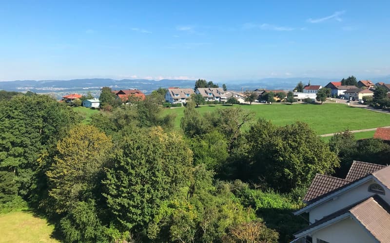 Helle, grosszügige 2½ Zi-Wohnung (OG3) (7)