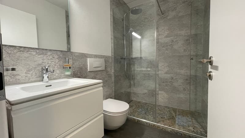 Schmuckstück an zentraler Lage im Kleinbasel. "Airbnb, Dachwohnung mi (8)