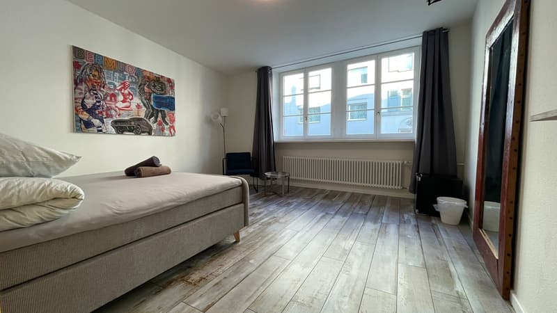 Schmuckstück an zentraler Lage im Kleinbasel. "Airbnb, Dachwohnung mi (10)