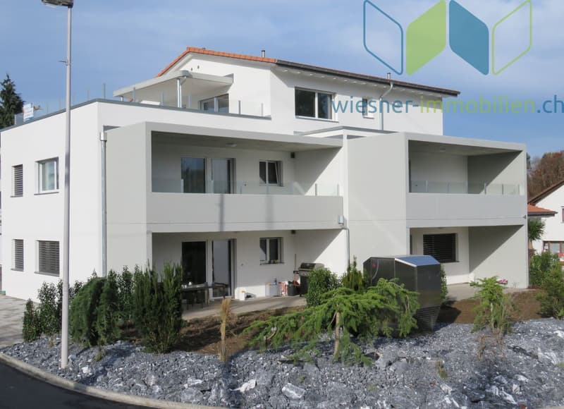 3½ Zimmer Attikawohnung mit sehr grosser Dachterrasse (2)