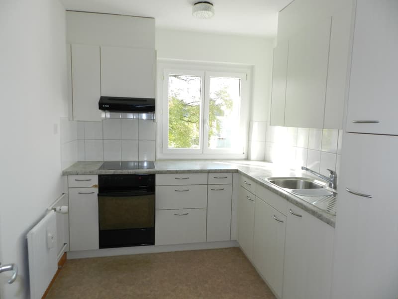 White cabinets, granite countertops, black stove, built-in oven, stainless steel sink, faucet, power outlet, ceiling lamp