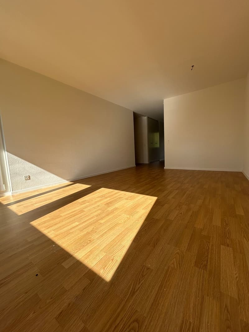 Charmante 4.5-Zimmer-Wohnung mit Balkon in Brugg – ab sofort verfügbar! (6)