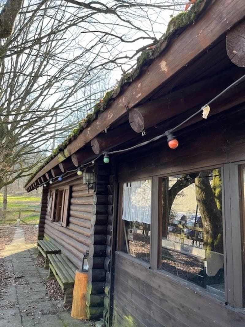 Idyllische Blockhütte im Grünen (5)