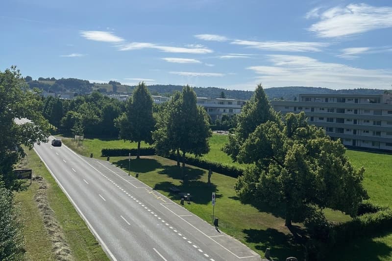 Zelgli Sky - Leben über den Dächern von Staufen! (8)
