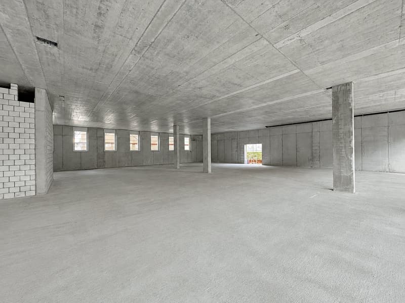 hohe Erdgeschossfläche mit Frequenz für Showroom, Gesundheitsfachgeschäft, Fachhandel..... (5)