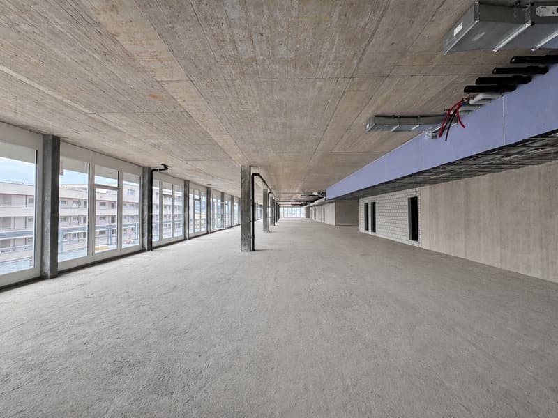 Wo Lernen Raum bekommt – bis zu 2’000 m² im Zelgli-Work (4)